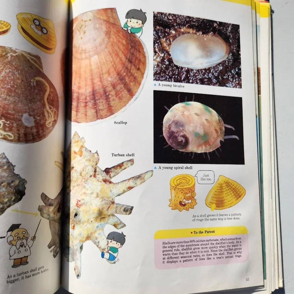 Life in the Water Child's First Library of Learning Science Stem Book Homeschool